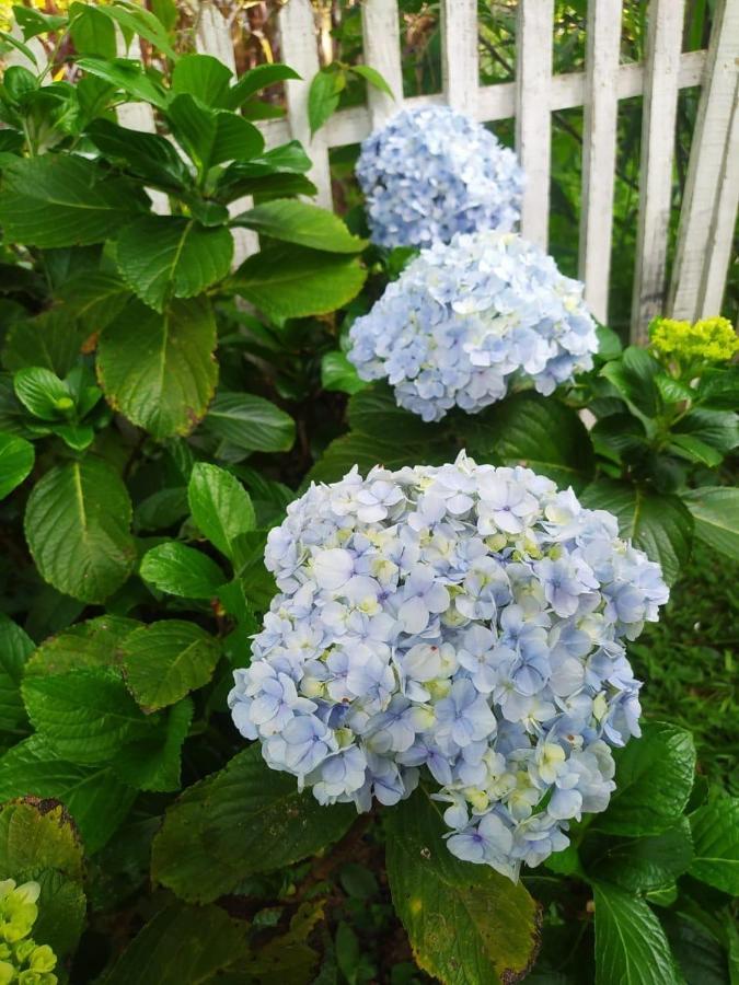 São Tomé das Letras Recanto Das Flores מראה חיצוני תמונה
